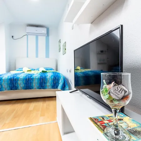 Sb Centar Apartment Nis